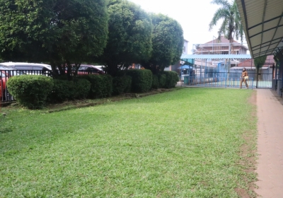 Lapangan Rumput